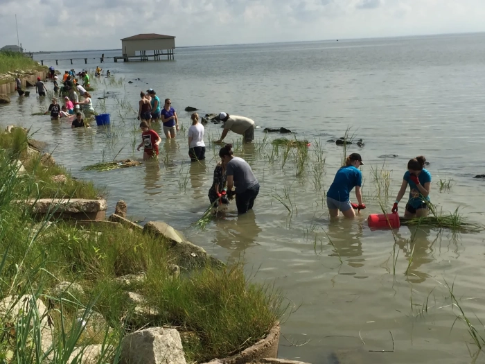 Galveston Bay Foundation's Marsh Mania 2016